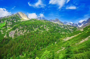 High Tatras 'taki Rocky Dağları. Slovakya Cumhuriyeti. Avrupa