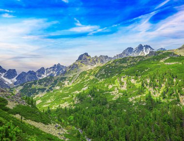High Tatras 'taki Rocky Dağları. Slovakya Cumhuriyeti. Avrupa