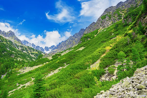 Rocky Mountains Hoge Tatra Slowaakse Republiek Europa — Stockfoto