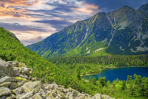 Vue Panoramique Pittoresque Sur Popradske Pleso Les Montagnes Tatra Slovaquie — Photo