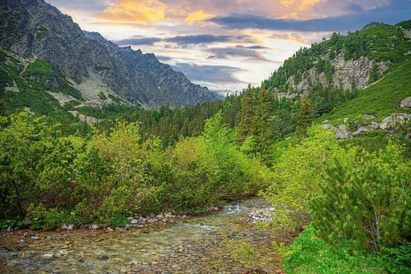 Montañas Rocosas Altos Tatras República Eslovaca Europa — Foto de Stock