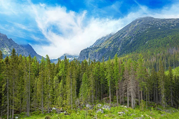 斯洛伐克共和国的塔特拉山高地 洛基山脉在高塔特拉山 — 图库照片