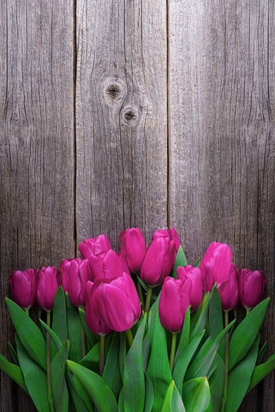 Los Tulipanes Primavera Florecen Sobre Fondo Madera — Foto de Stock