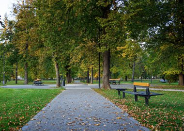 Yeşil şehir parkı. Ağaçlarla ve banklarla park et..