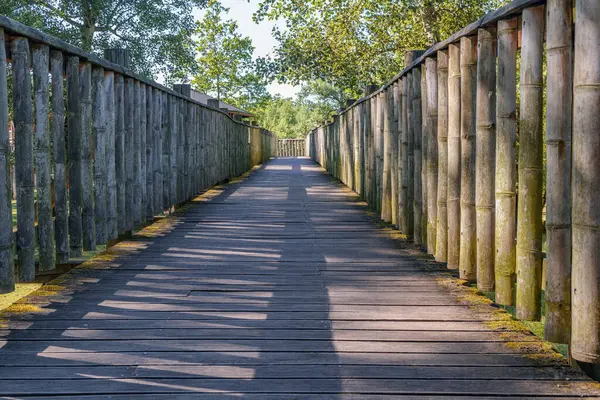 Puente Bambú Entre Los Árboles Del Parque — Foto de Stock