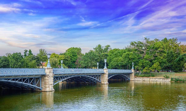 ブダペストにあるジエリンスキ橋の様子 ハンガリー — ストック写真