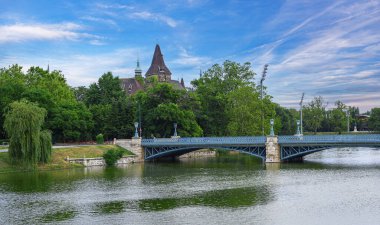 Budapeşte 'deki Zielinski Köprüsü manzarası. Macaristan