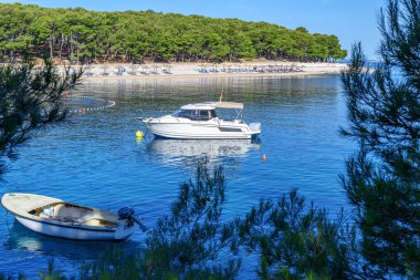Adriyatik kıyısında sahil ve tekneler. Primosten, Hırvatistan.