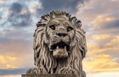 Taştan yapılmış bir aslan heykelinin yakın çekimi..