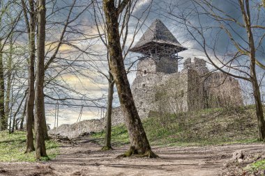 Nevitsky Kalesi 'nin kalıntıları. Uzhgorod, Ukrayna