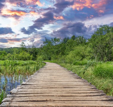Ormanlar ve dağlar arasında resim gibi göller. Plitvice Gölleri, Hırvatistan.