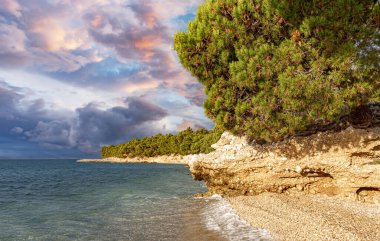 Adriyatik kıyısında sahil ve tekneler. Primosten, Hırvatistan.