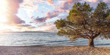 Adriyatik kıyısında sahil ve tekneler. Primosten, Hırvatistan.