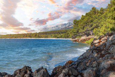 Adriyatik kıyısındaki Rocky sahili. Hırvatistan.