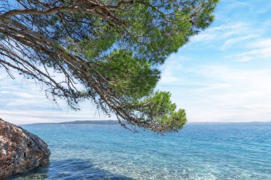 Adriyatik kıyısındaki Rocky sahili. Hırvatistan.