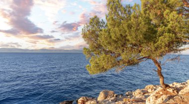 Adriyatik kıyısındaki Rocky sahili. Hırvatistan.