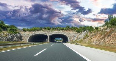 Otoyoldaki hayvanlar için köprü. Hırvatistan.