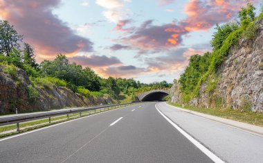 Otoyoldaki hayvanlar için köprü. Hırvatistan.