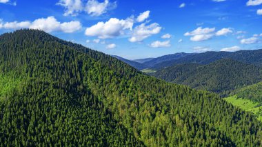 Yazın Karpatlar 'ın resimli dağları. Drone fotoğrafı.