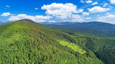 Yazın Karpatlar 'ın resimli dağları. Drone fotoğrafı.