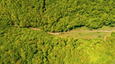 Yazın Karpatlar 'ın resimli dağları. Drone fotoğrafı.