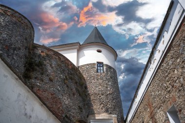 Ortaçağ şatosunun çatı ve örümcekleri.