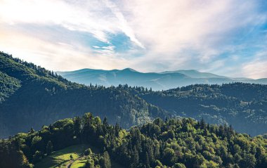 Yazın Karpatlar 'ın resimli dağları. Drone fotoğrafı.