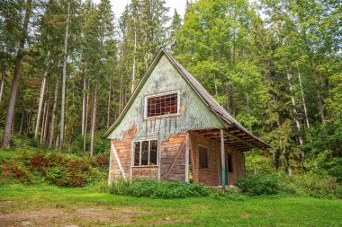 Ormanda terk edilmiş eski ahşap bir ev..