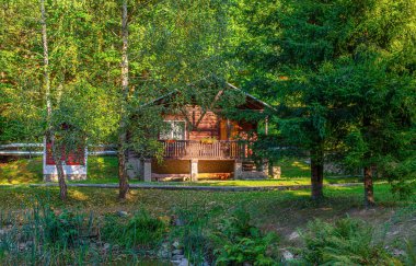 Yaz ormanındaki ahşap kulübeler..