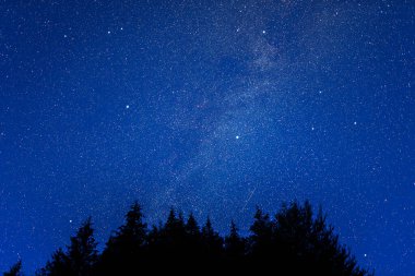 Yıldızlı gökyüzü. Güzel yıldızlı gökyüzü ile gece manzarası
