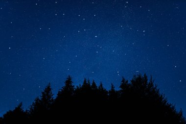 Yıldızlı gökyüzü. Güzel yıldızlı gökyüzü ile gece manzarası