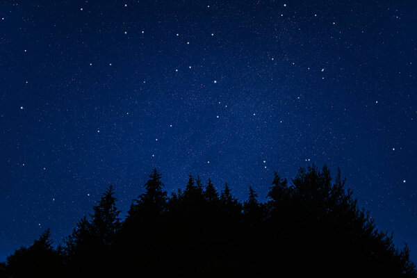 Starry sky. Night scape with beautiful starry sky
