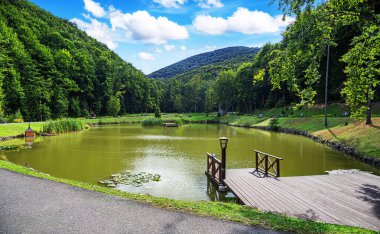 Parktaki resim gibi göl dağların ve ormanın arka planına karşı..