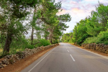 Huzurlu, ağaçlarla kaplı bir yol, çarpıcı bir günbatımı gökyüzünün altına uzanır. Huzurlu ve görkemli bir manzara yaratır..