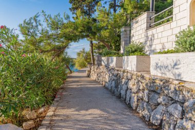 Hırvatistan 'ın Primosten kentinde, bereketli yeşillik ve Akdeniz mimarisiyle kaplı huzurlu taş patika, parlak bir yaz gökyüzü altında mavi denize doğru uzanıyor.