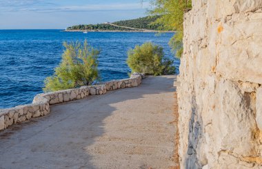 Hırvatistan 'ın Primosten kentinde, bereketli yeşillik ve Akdeniz mimarisiyle kaplı huzurlu taş patika, parlak bir yaz gökyüzü altında mavi denize doğru uzanıyor.