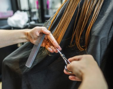 Kuaförlerin elleri titizlikle müşterileri ıslak, kırmızı kahverengi saçlarını makas ve tarakla kesiyor..