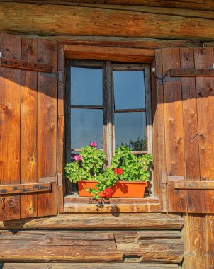 Açık kepenkleri olan eski ahşap bir pencere ve yeşil bitkilerle dolup taşan kırmızı bir pencere kutusu ve parlak kırmızı ve pembe sardunyalar, güneş ışığıyla yıkanmış..