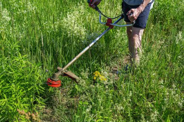 Bir insan, güneşli bir günde yemyeşil bir tarlada çim biçmek için omuz kemeriyle çim biçme makinesi kullanır..