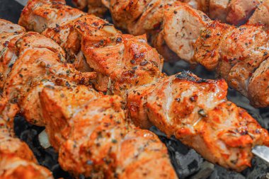 Sulu marine edilmiş şişler, açık hava barbeküsü sırasında metal şişler üzerinde kızgın kömür üstünde kızartılıyor..