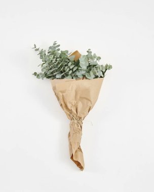 Vase of plant on the white table and isolated background decorative and fresh.