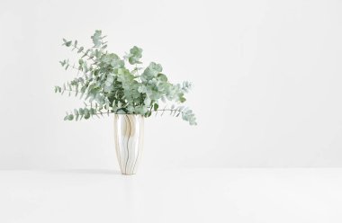 Vase of plant on the white table and isolated background decorative and fresh.