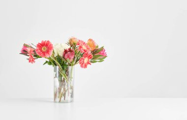 Vase of plant on the white table and isolated background decorative and fresh.