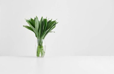 Vase of plant on the white table and isolated background decorative and fresh.