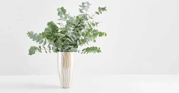 Vase Plant White Table Isolated Background Decorative Fresh — Φωτογραφία Αρχείου