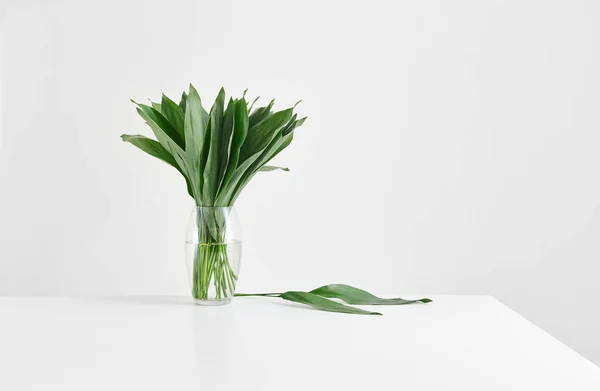 Vase Plant White Table Isolated Background Decorative Fresh — Stockfoto
