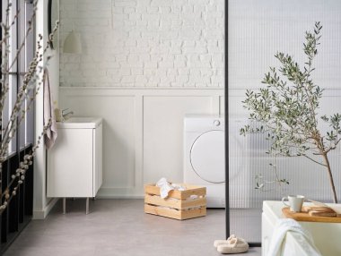 Beyaz banyo, çamaşır ve kuru makine, tuğla duvar ve şeffaf ekran, dolap lavabo ve ayna, bitki.