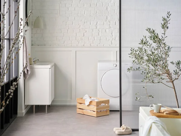 Beyaz banyo, çamaşır ve kuru makine, tuğla duvar ve şeffaf ekran, dolap lavabo ve ayna, bitki.
