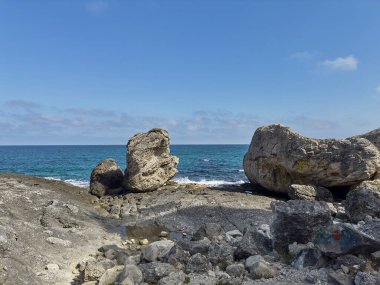 Deniz manzarası ve orman güzel havada.