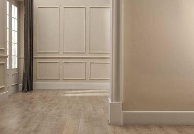 Klasik duvar iç mekan tarzı, boş, yakın çekim konsepti. Bitki ve halı dekoru.